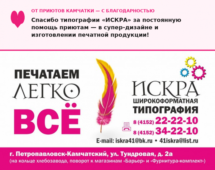 типография 