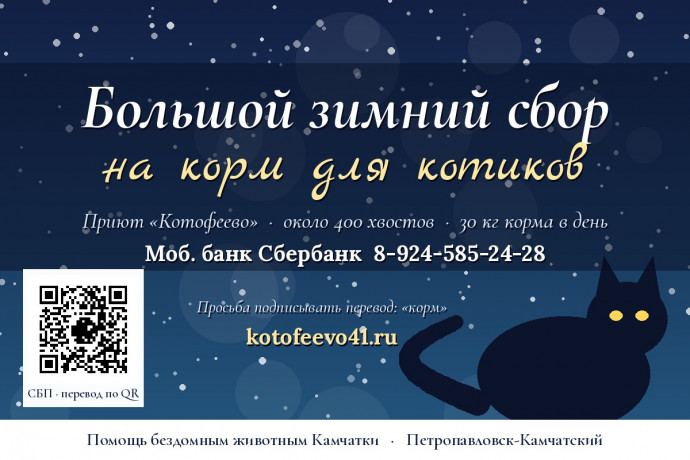 Большой зимний сбор на корм для котиков