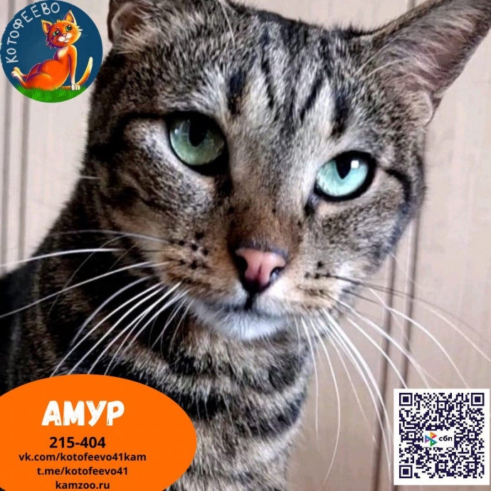 Амур