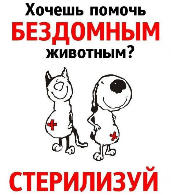 Стерилизуй свое и бездомное животное!