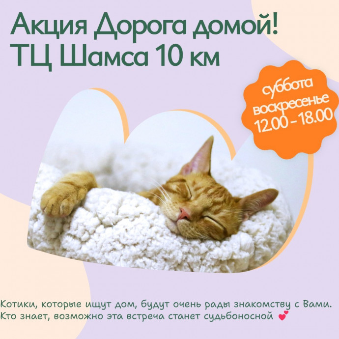 В ЭТИ ВЫХОДНЫЕ!!!  В ТЦ ШАМСА на 10 км пройдёт традиционная акция 