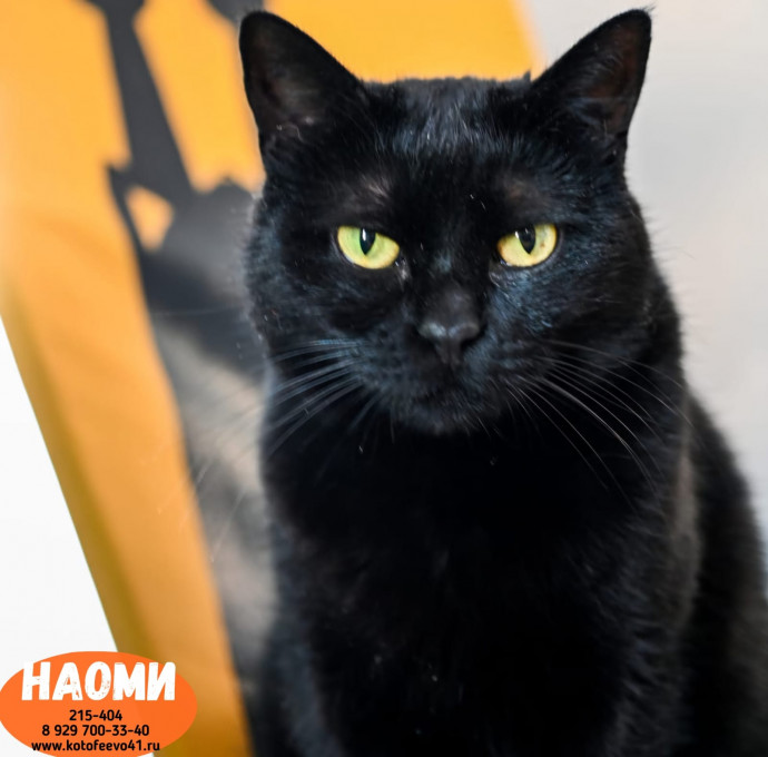 Наоми