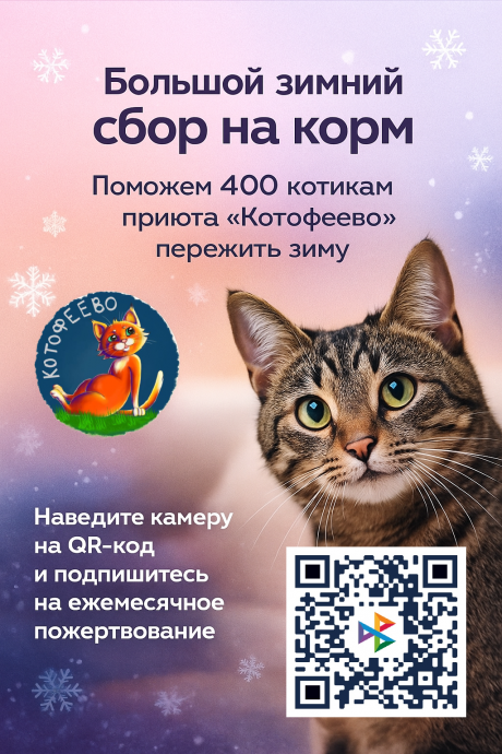 Большой зимний сбор на корм!