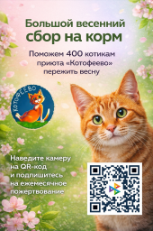 Большой весенний сбор на корм для котиков